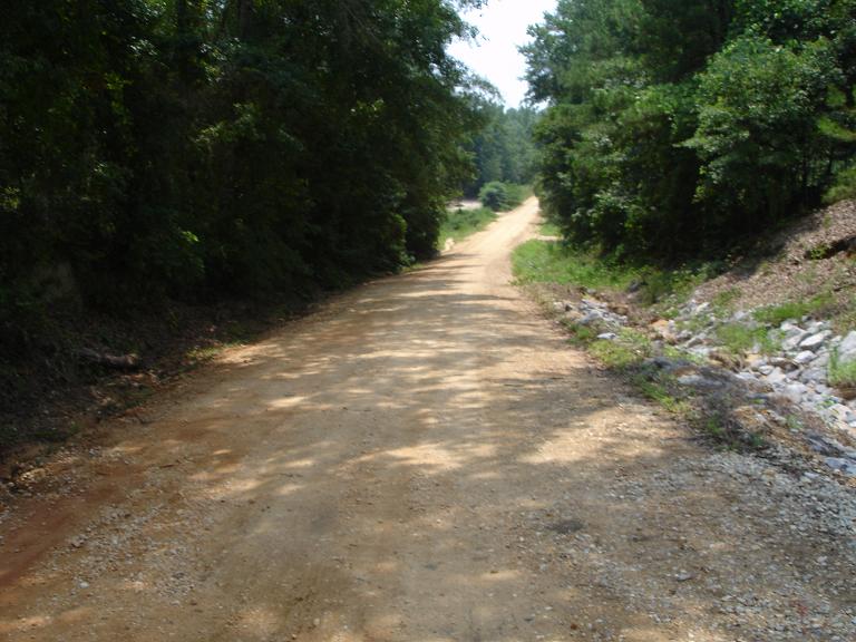 County Road 54